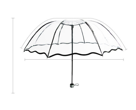 Transparent umbrella print umbrella