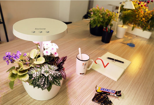 Plant growth machine