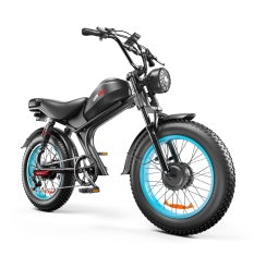 C93- Dual-drive High-speed Electric Bike