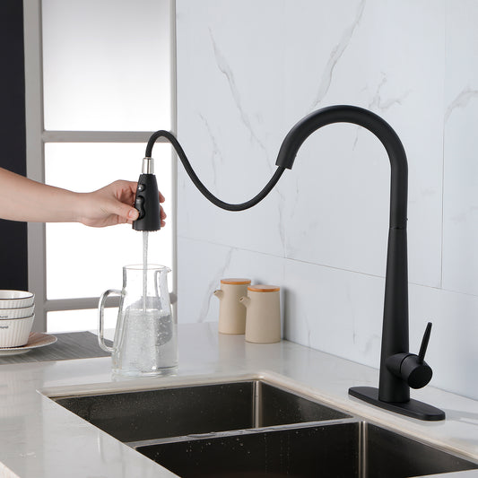 Kitchen Faucet With Pull-down Spray