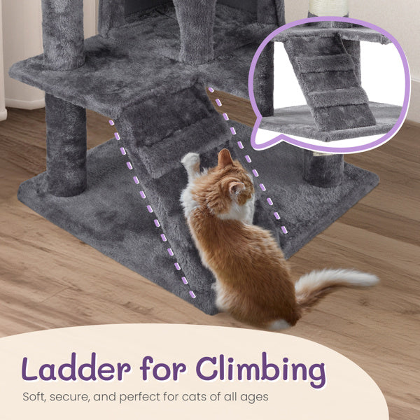 Cat Climbing Frame