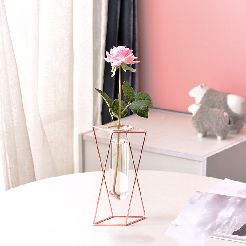 Nordic ins Geometric Vase Light Luxury Metal Iron Decoration Living Room Flower Arrangement Creative Home Glass Flower Stand Decoration