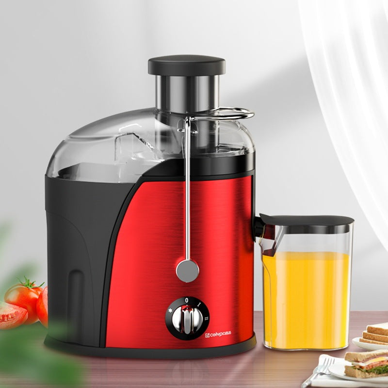 Multifunctional Home Juice Extractor Stainless Steel
