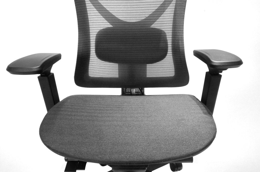 Big and Tall Office Chair  with Adjustable lumbar and slide seats , Headrest and 4d armrest , tilt function max degree is 115 °, 300LBS, Black