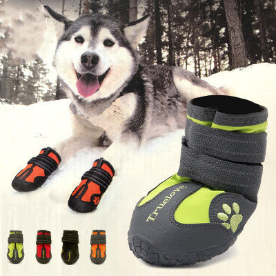 Zapatos de invierno para perros