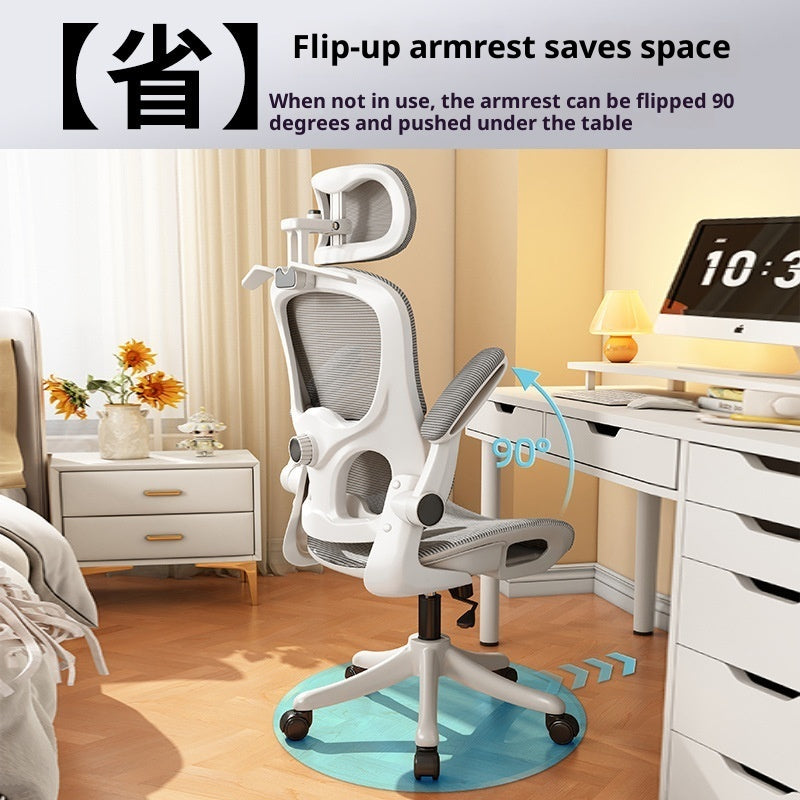 Ergonomic Chair Waist Support Computer Chair Comfortable Long-sitting Office Chair