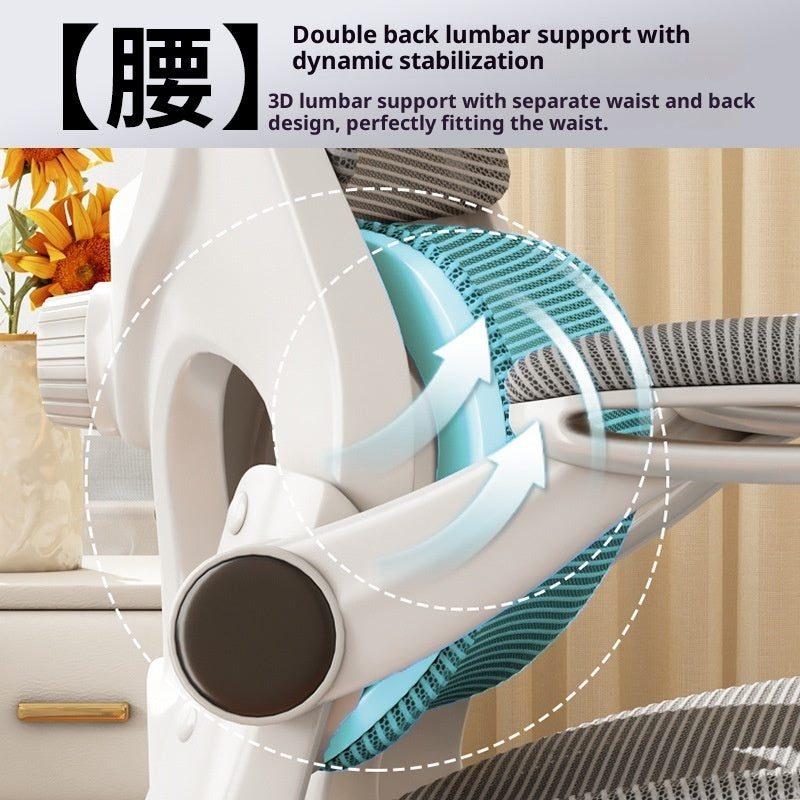 Ergonomic Chair Waist Support Computer Chair Comfortable Long-sitting Office Chair