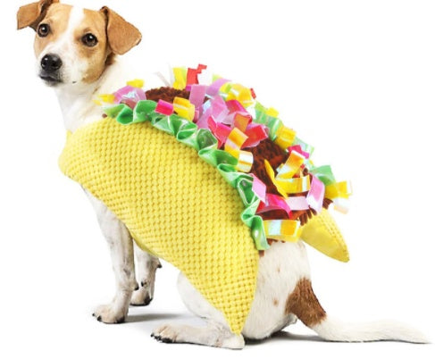 Cartoon Pet Cowboy Horseback Riding Costume Pet Supplies