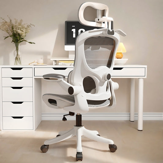 Ergonomic Chair Waist Support Computer Chair Comfortable Long-sitting Office Chair