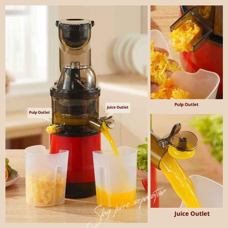High-power Household Multi-functional Juice Extractor
