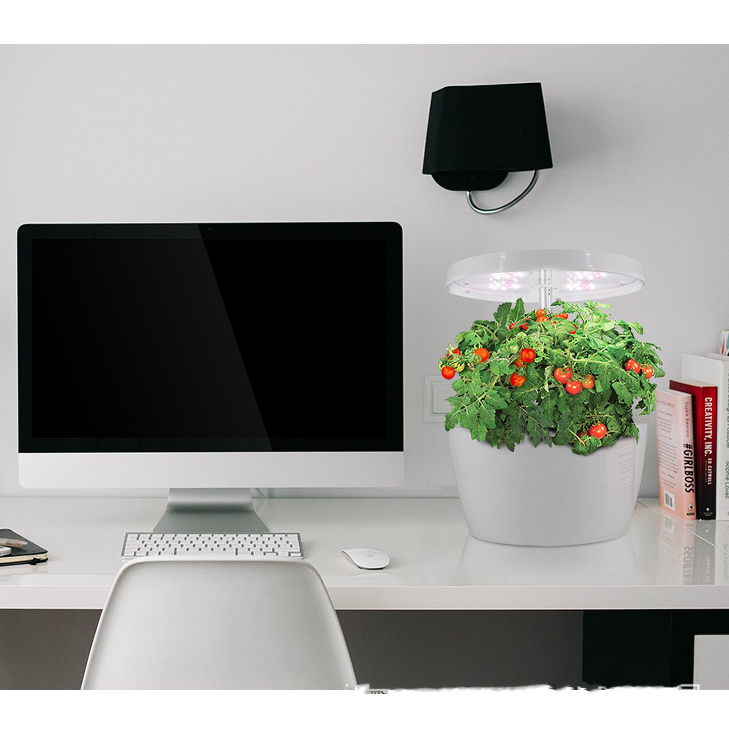 Plant growth machine