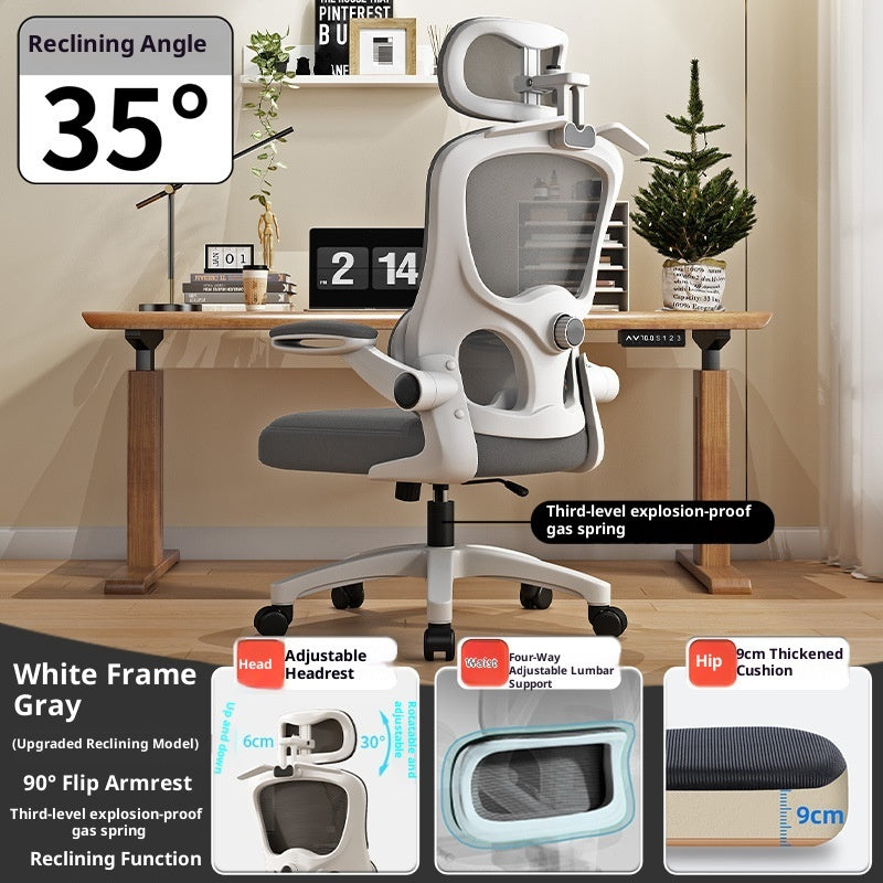Ergonomic Chair Waist Support Computer Chair Comfortable Long-sitting Office Chair