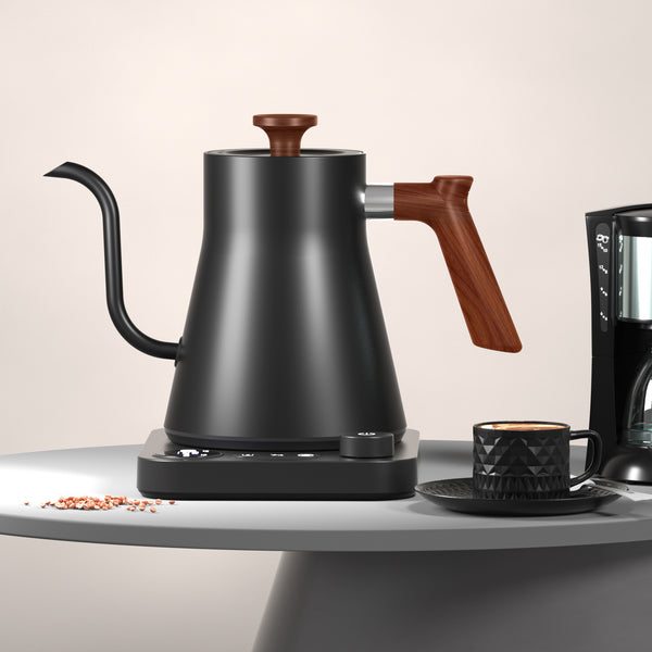 Constant temperature kettle