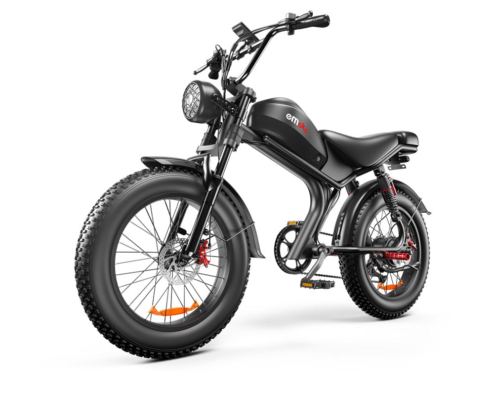 C93- Dual-drive High-speed Electric Bike