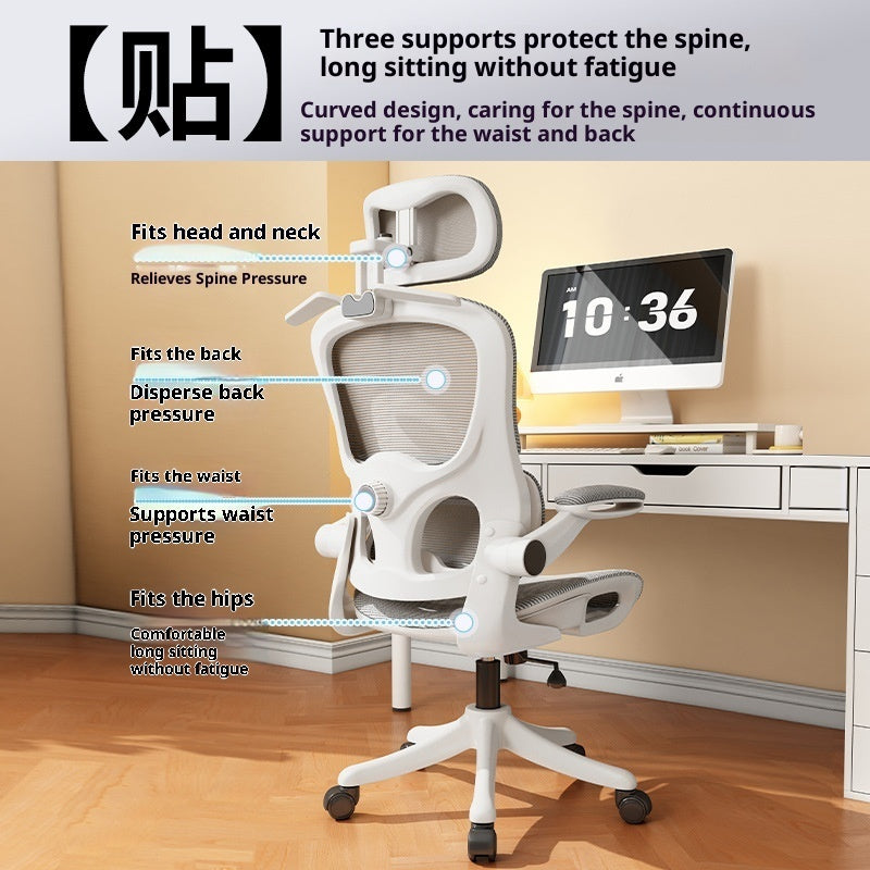 Ergonomic Chair Waist Support Computer Chair Comfortable Long-sitting Office Chair