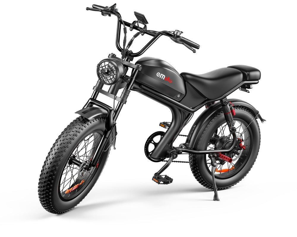 C93- Dual-drive High-speed Electric Bike
