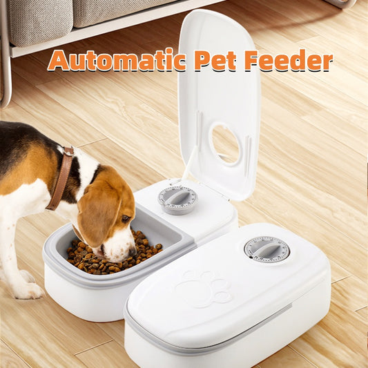 Alimentador automático para mascotas