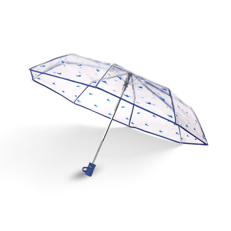 Folding Umbrella Fully Automatic Umbrella Transparent Multi Color