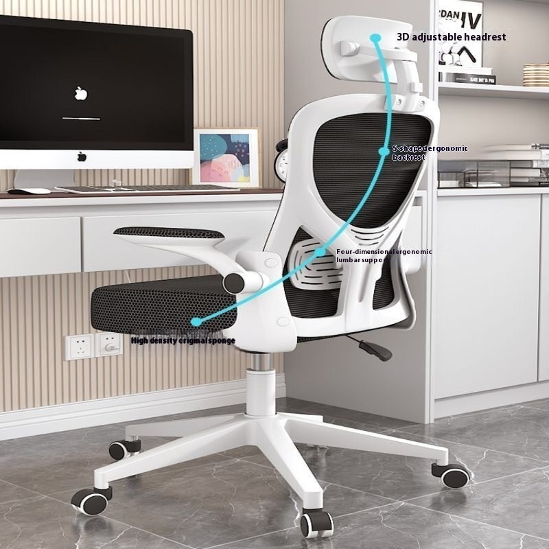 Ergonomic Chair Comfortable Long-sitting Home Reclining