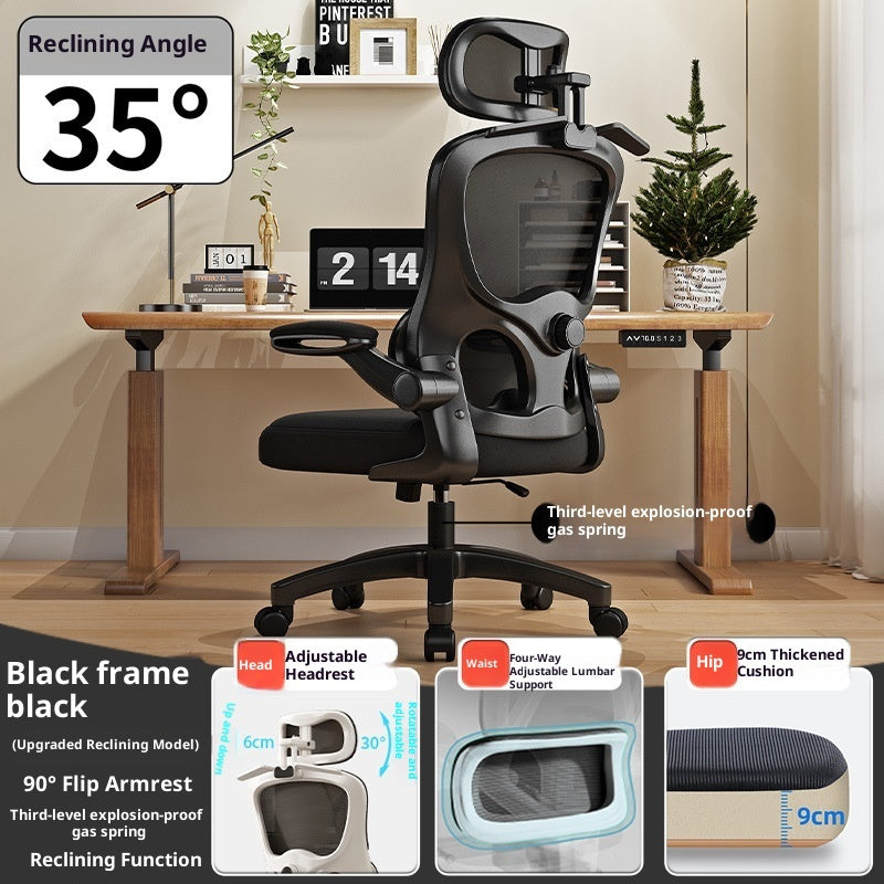 Ergonomic Chair Waist Support Computer Chair Comfortable Long-sitting Office Chair