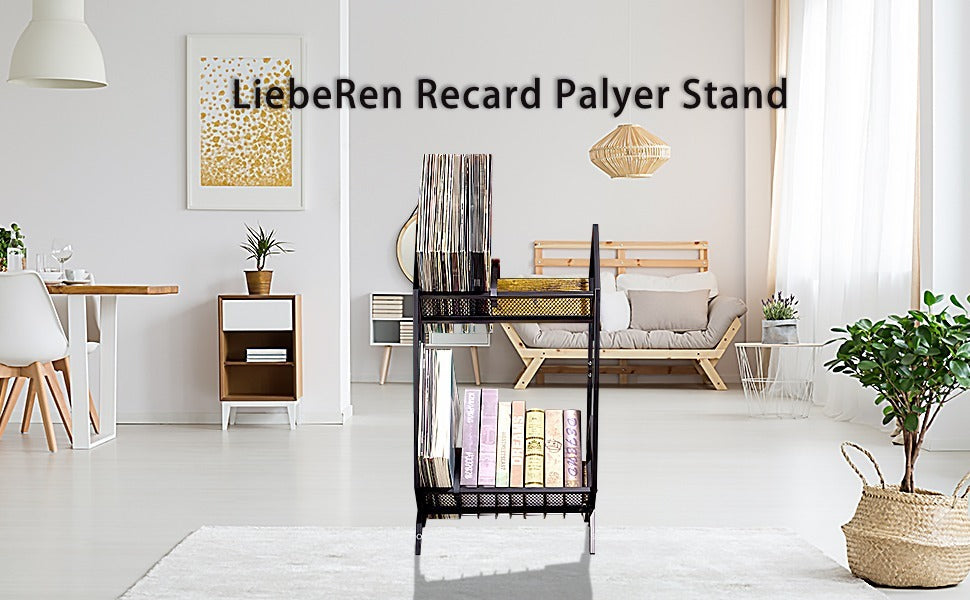 16 Square Foot Standard Sized Music Room And Living Room Recording Rack